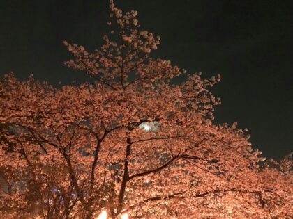 「先生、大腸内視鏡検査は何年ごとにすればいいの？」（院長より）